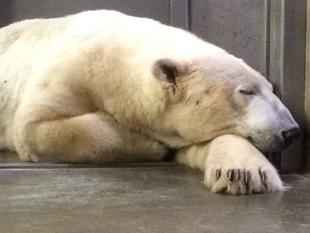 元気にしていますよ♪