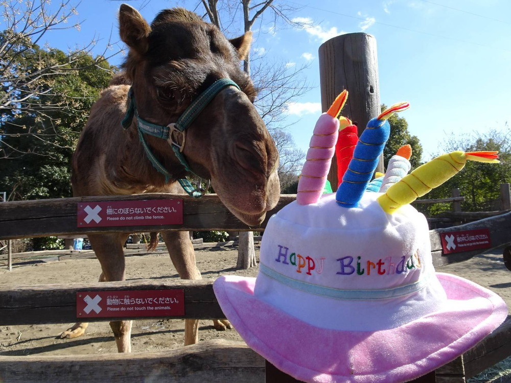 8才になりました!の写真
