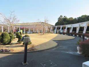 隠れアニマルをさがせ！レベル1