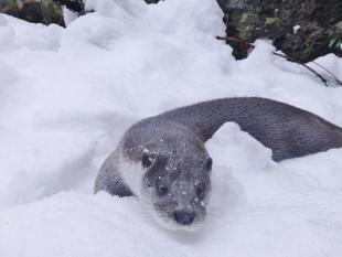 旅立ちます！！