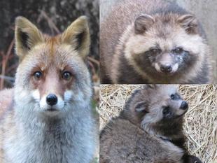 あけましておめでとうございます