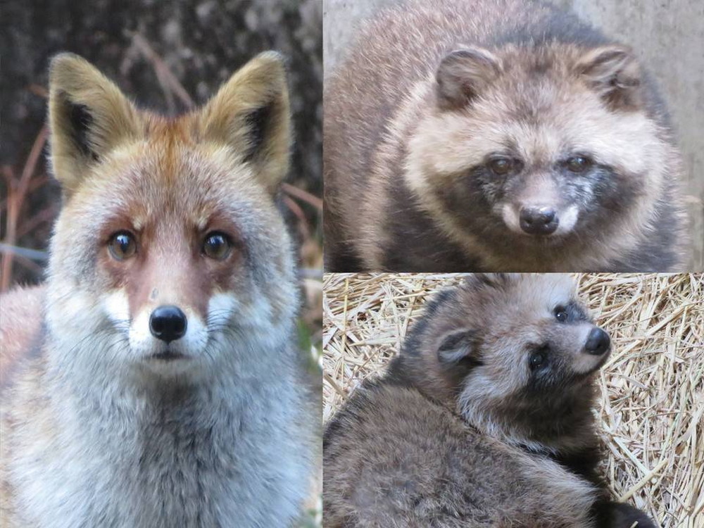 あけましておめでとうございますの写真