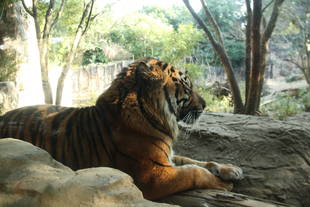 もうすぐ会えますね！