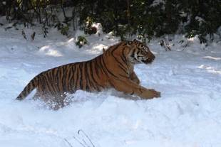 先月の積雪・・・②