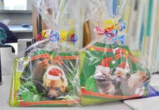 ヤブイヌのクリスマスプレゼントのその後