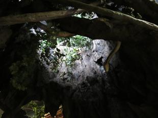 隠れアニマルをさがせ！レベル3