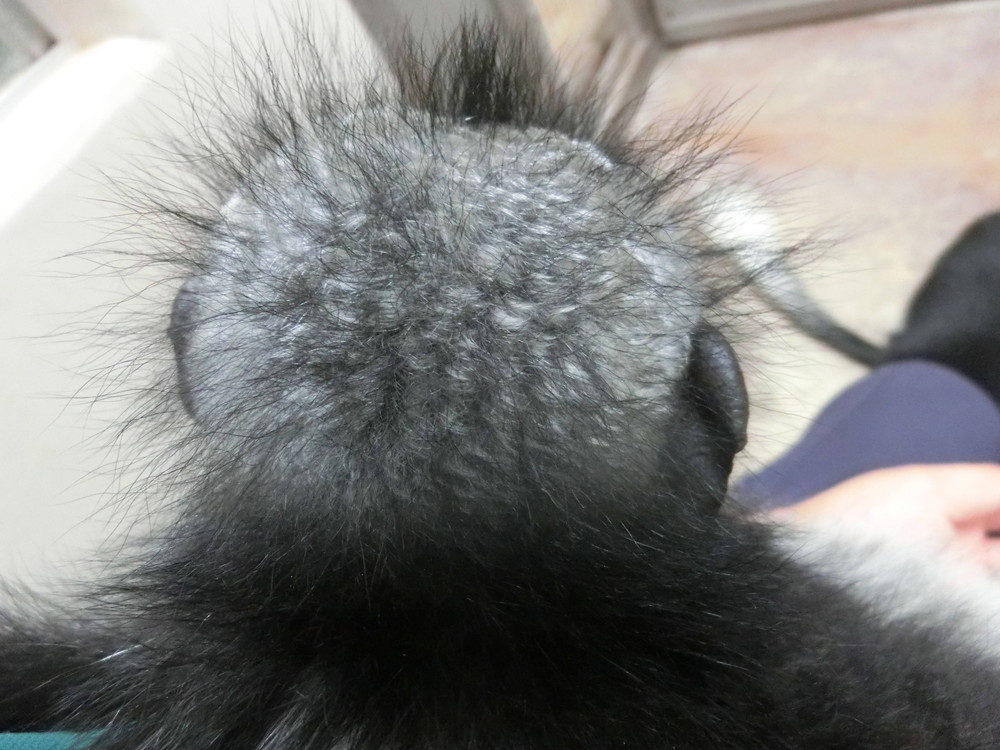 私は誰でしょう...??の写真