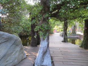 隠れアニマルをさがせ！レベル2