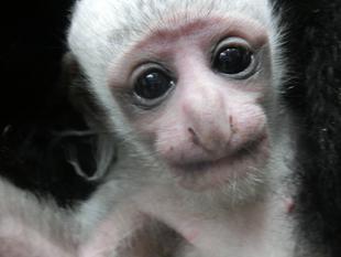 改めまして・・・