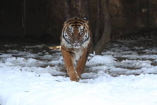 先月の積雪・・・⑦