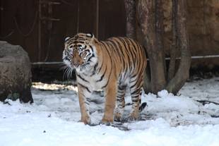 先月の積雪・・・⑥