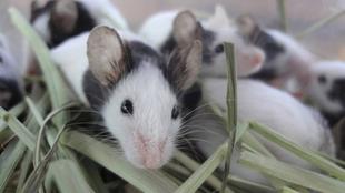 リラックスタイム