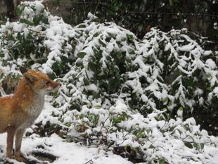 季節は変わり・・・