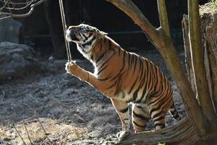 親子にプレゼント（？）・・・その②