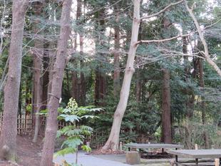 隠れアニマルをさがせ！レベル4