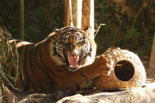 親子にプレゼント・・・その①