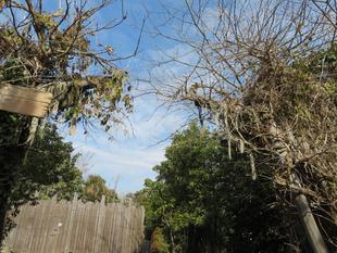 隠れアニマルをさがせ！レベル5