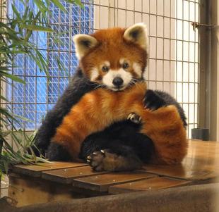 ありがとう、お疲れ様