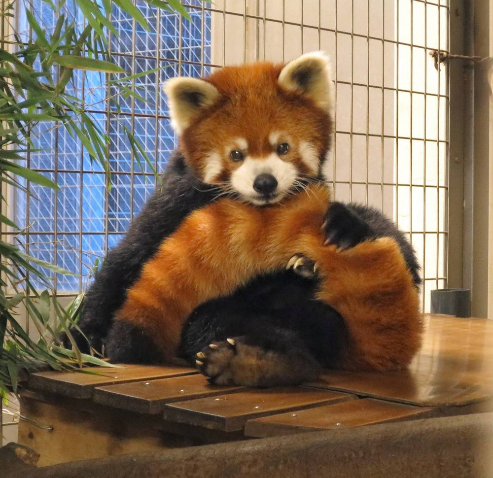 ありがとう、お疲れ様の写真