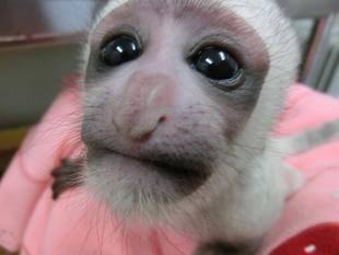 1歳になりましたー！！