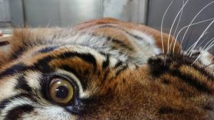 お好みの場所は？？