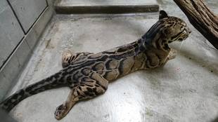 寝相に個性が現れる？？