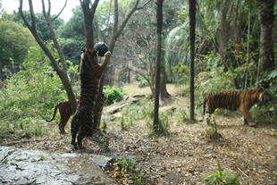 ダイエットが必要なようで・・・その3