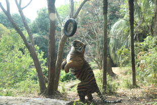 ダイエットが必要なようで・・・その4