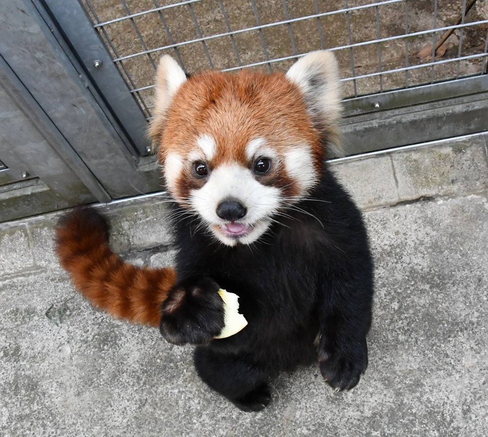 お待たせしております☆まめたろうですの写真
