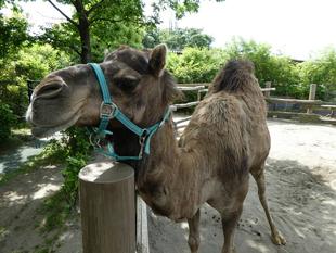 ゴールデンウィークも終わって・・・