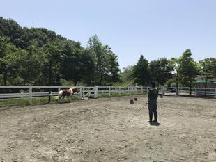 休園日の過ごし方