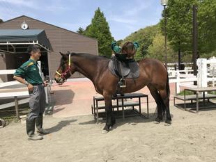 ソフィア、人を乗せる