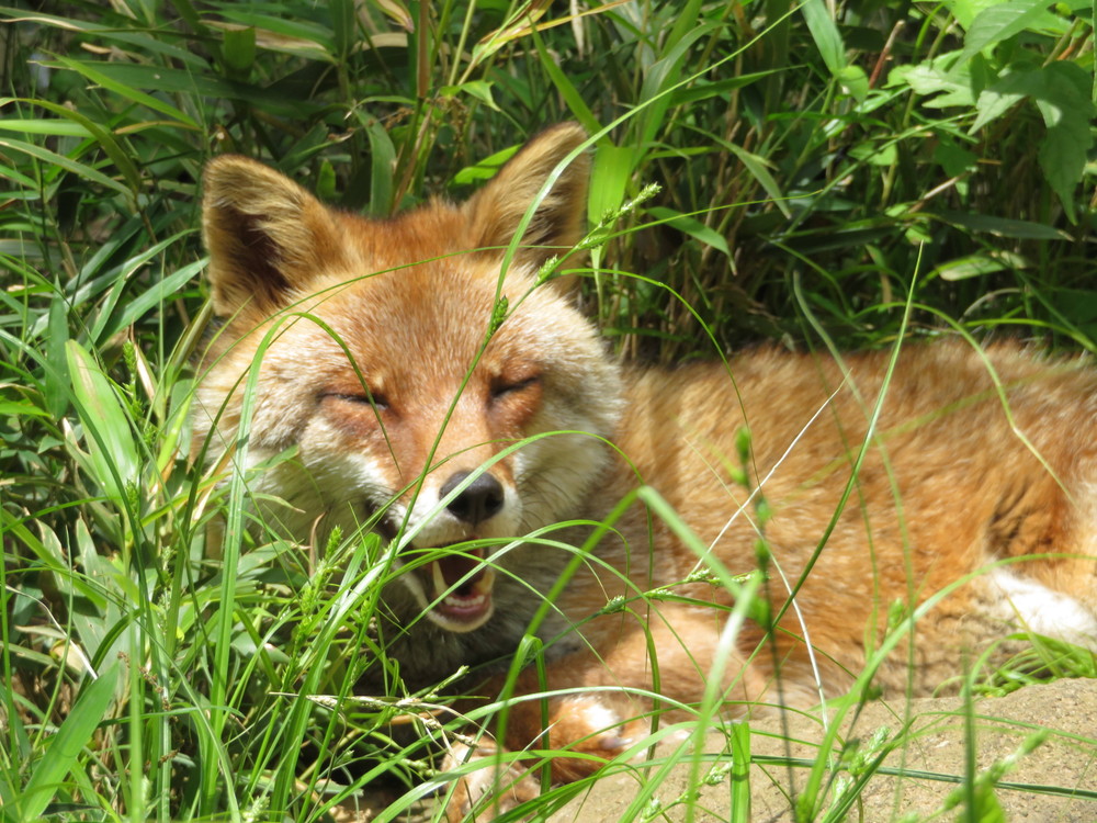 コウシロウ オフショット集の写真