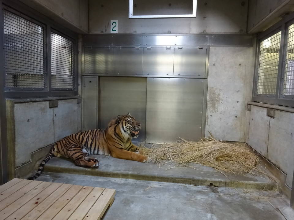 ガンターの本命は!?の写真