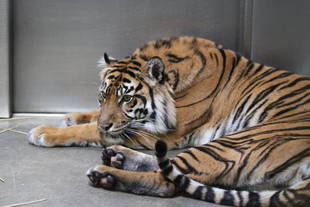 もう少しだけ使い続けましょうかね・・・