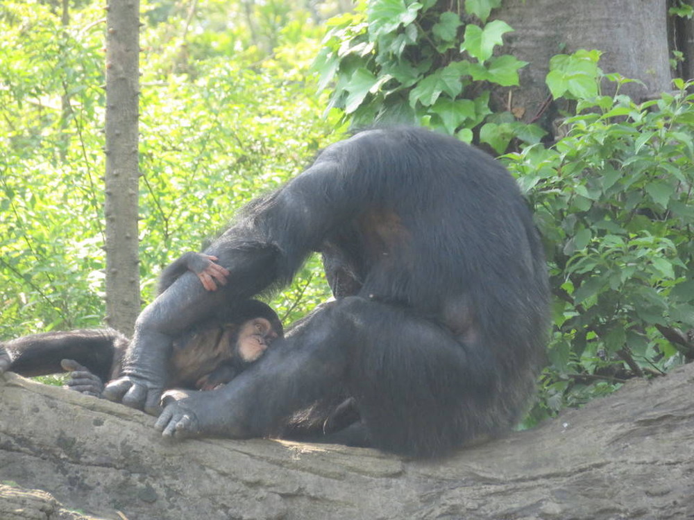 ハルとカズヤの写真