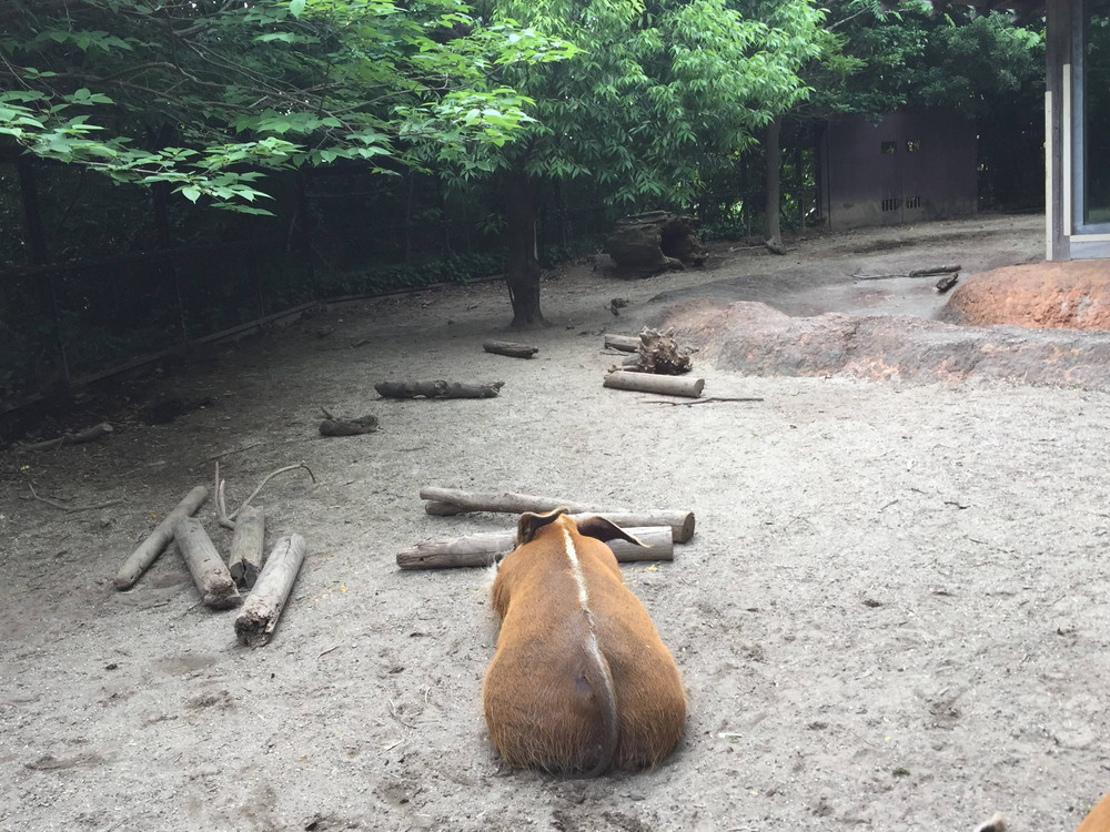 もっちり感。の写真