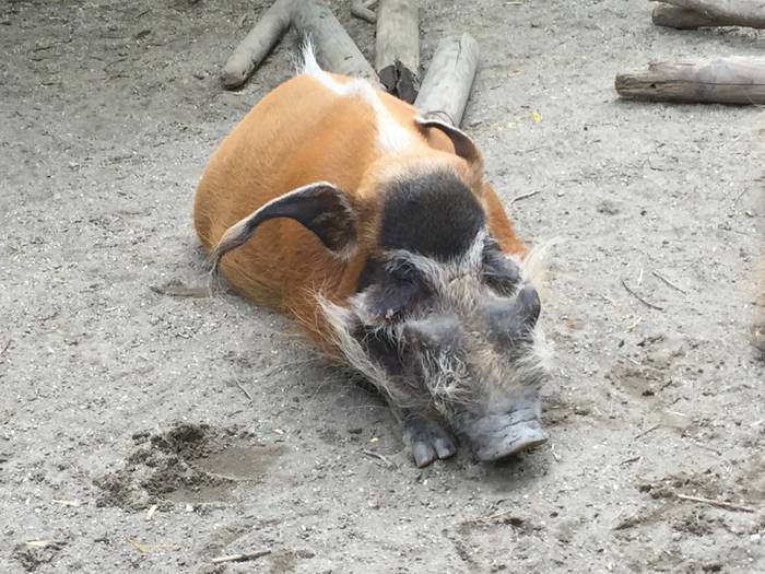 ⑧比べる  (2).jpg