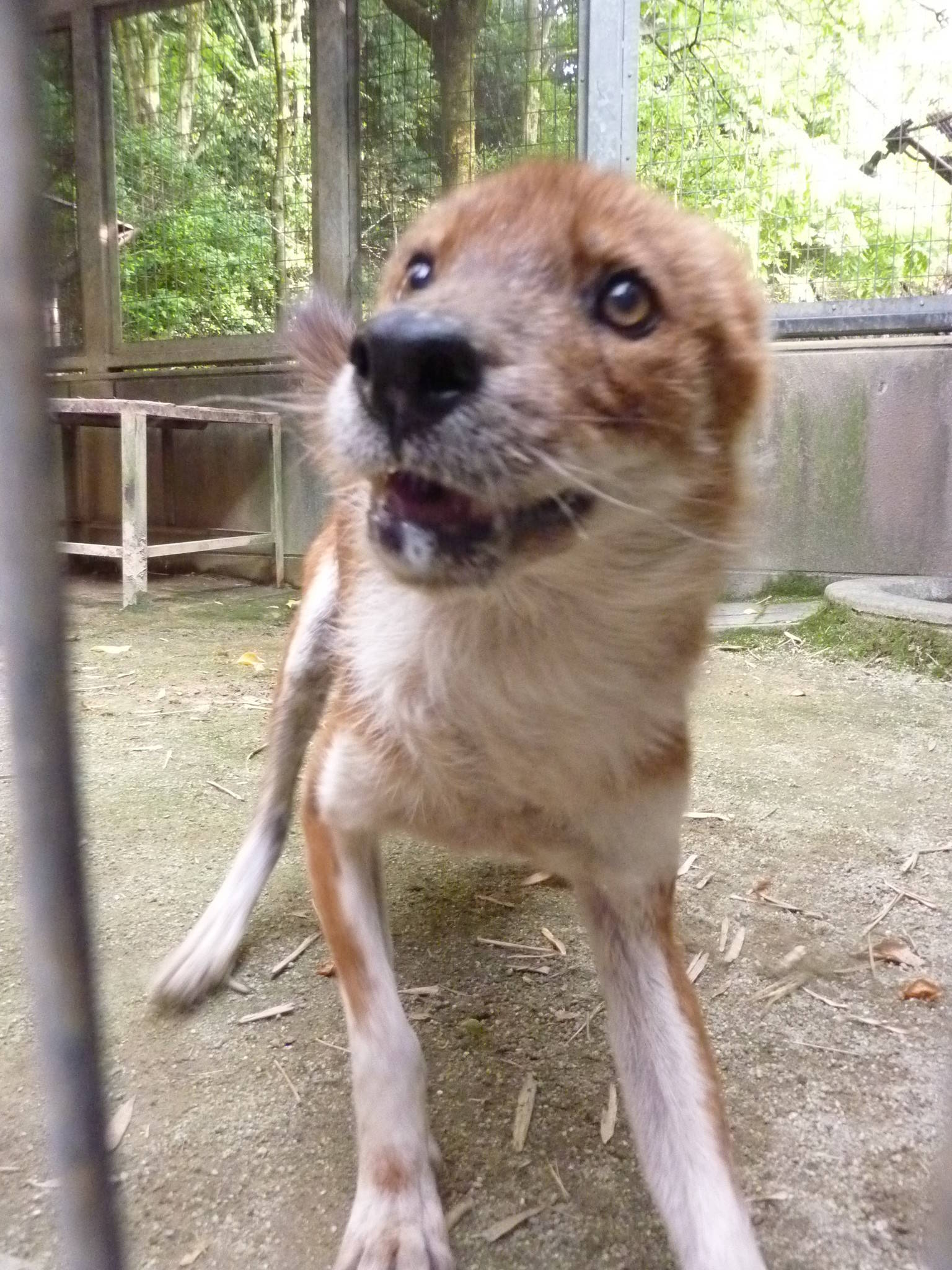 アインへの贈り物の写真