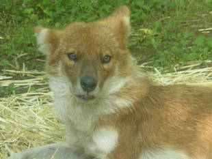 アインありがとう