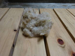 新たな物体・・・①