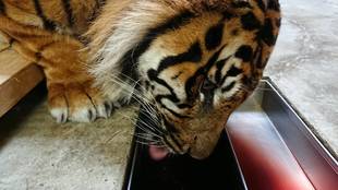 みんな大好き！