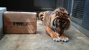 地味にお祝いしました(笑)