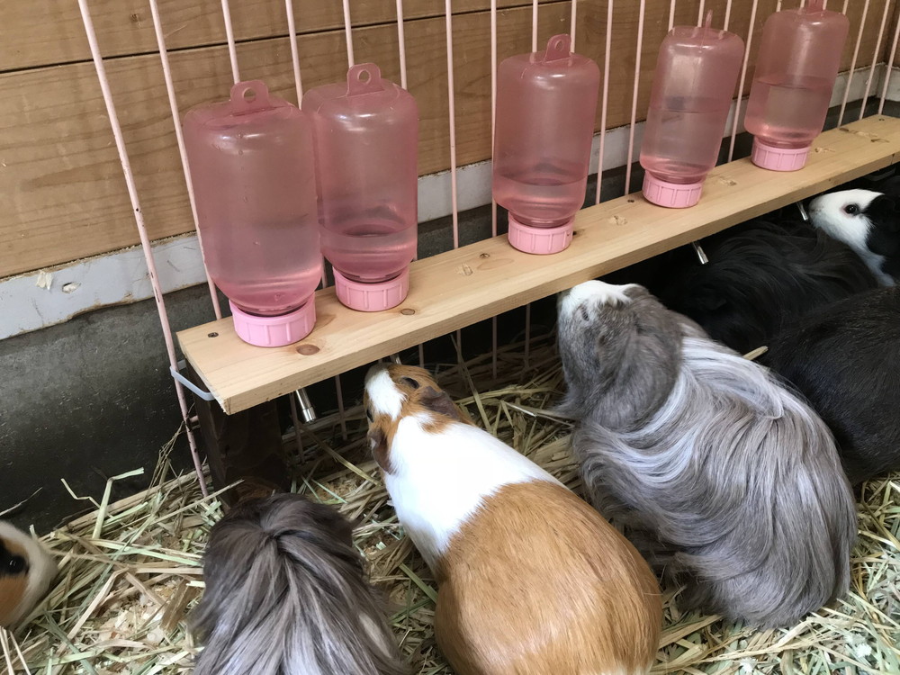 こまめに水分補給をの写真