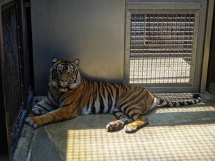 サブ運動場での過ごし方・・・①