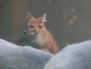 ドキドキの展示場