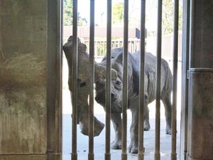 ユウグを入れました