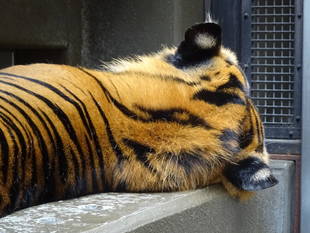 サブ運動場での過ごし方・・・③