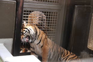 サブ運動場での過ごし方・・・④