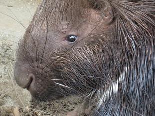 もうすぐ誕生日!